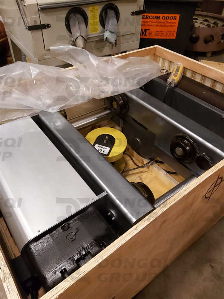 20 Ton Hoist
