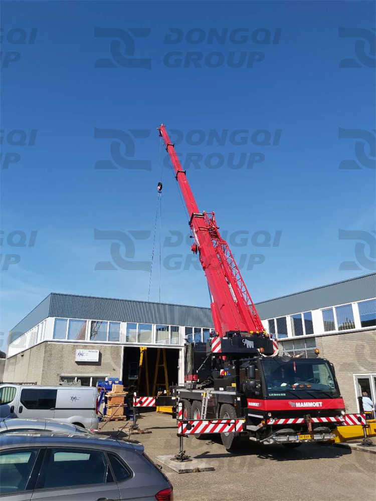 Installation process of 20 ton gantry crane
