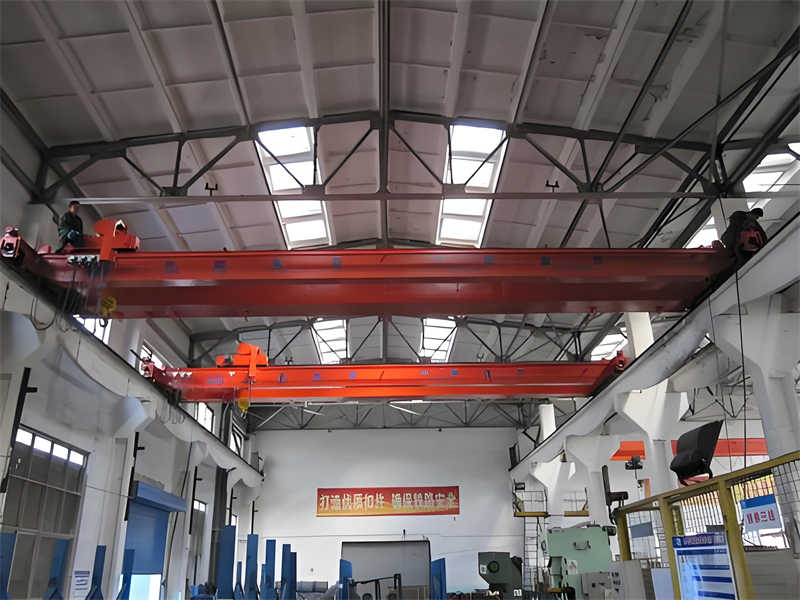 Crane Construction in Chemical Plants